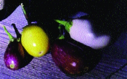 Gelbe Melanzani/ Solanum melongena